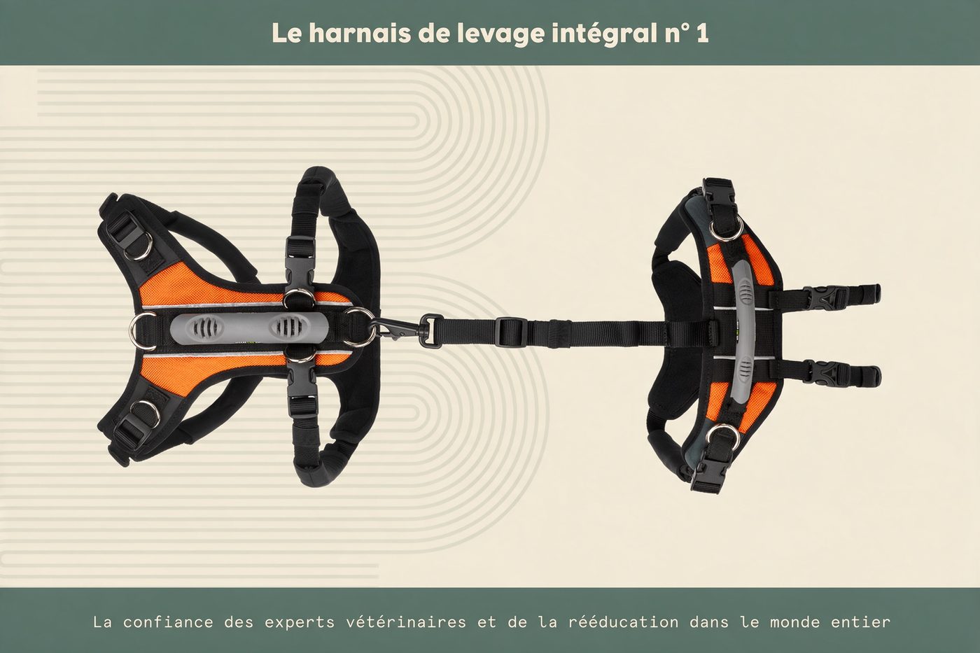 Harnais de levage Lévanou