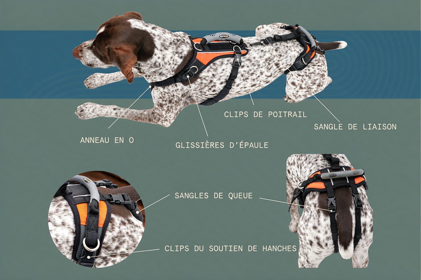 Harnais de levage Lévanou