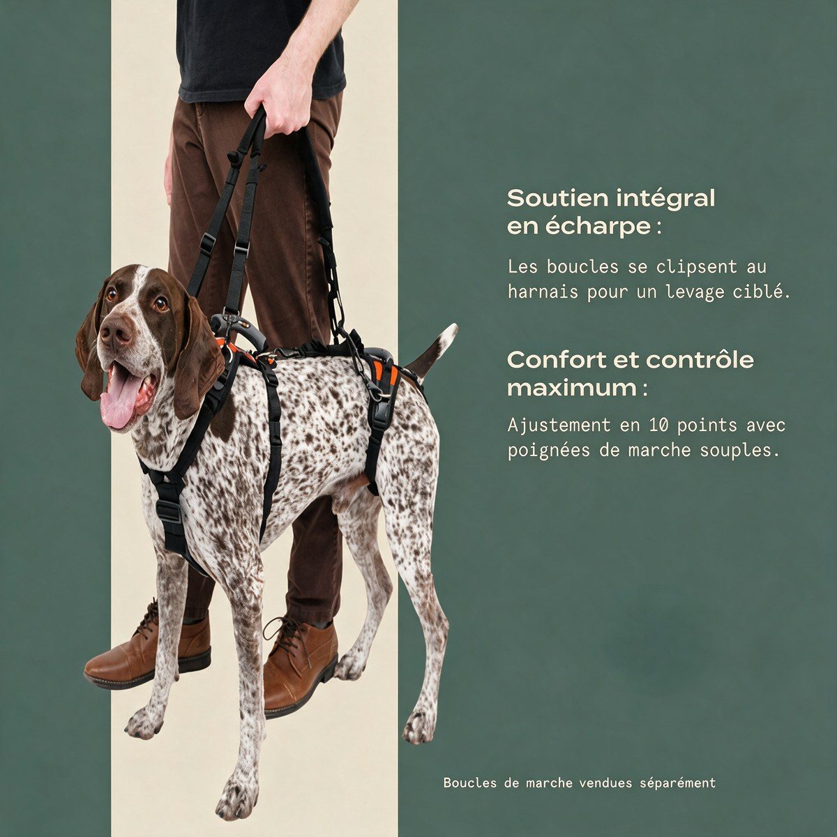 Harnais de levage Lévanou