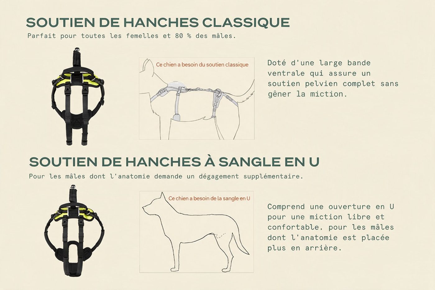 Soutien de hanches Lévanou