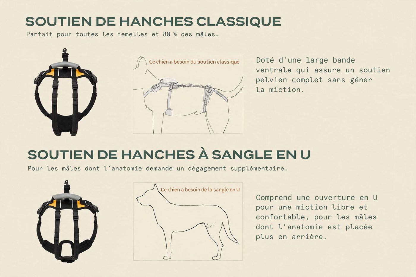 Harnais de levage Lévanou, taille Très grand
