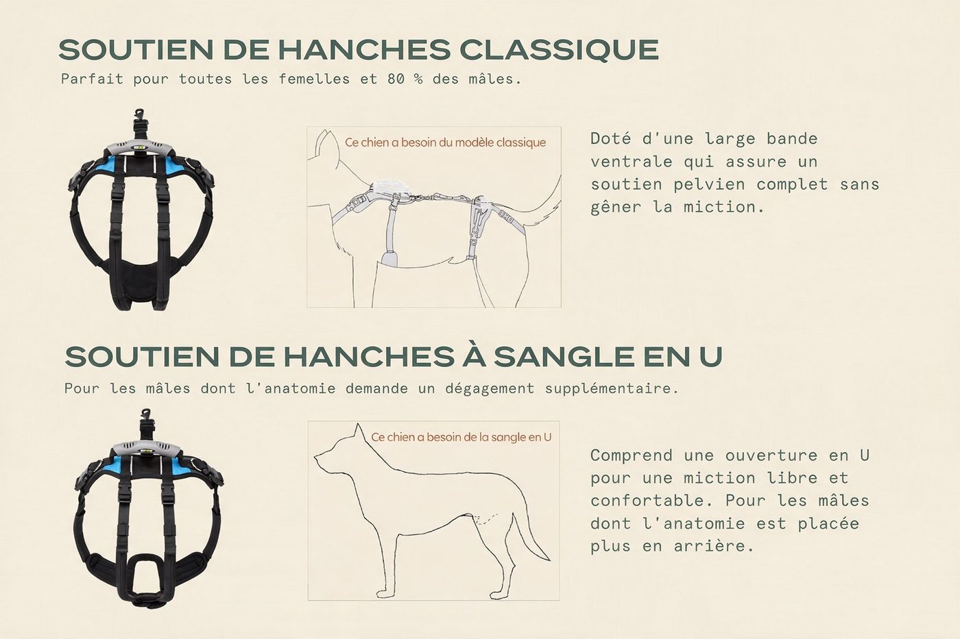 Taille Grand