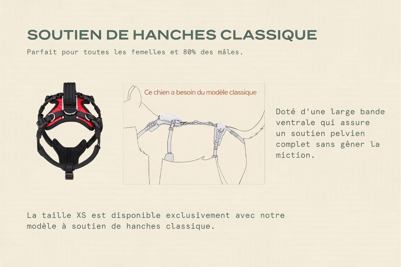 Taille Très petit