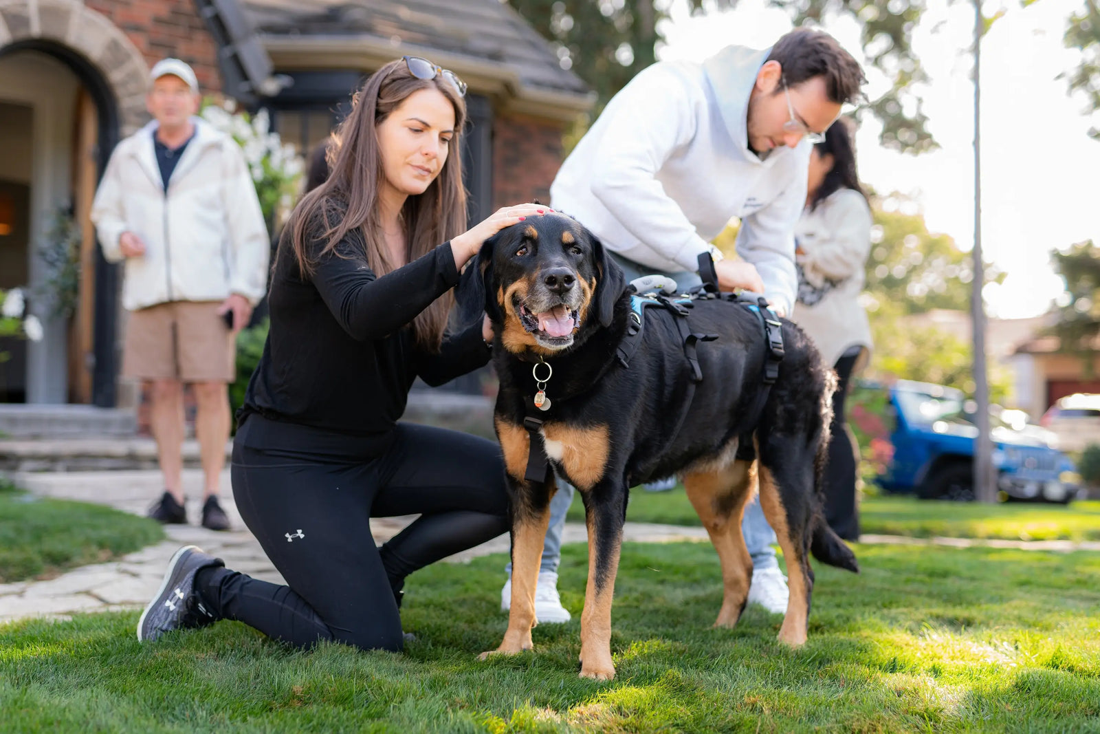 Un couple aide un grand chien équipé du harnais Lévanou à se relever